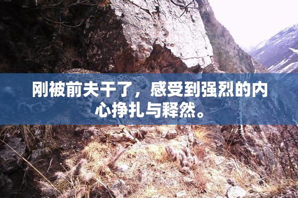 刚被前夫干了，感受到强烈的内心挣扎与释然。