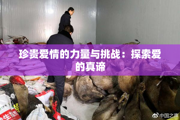 珍贵爱情的力量与挑战：探索爱的真谛