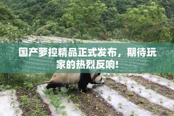 国产萝控精品正式发布，期待玩家的热烈反响!