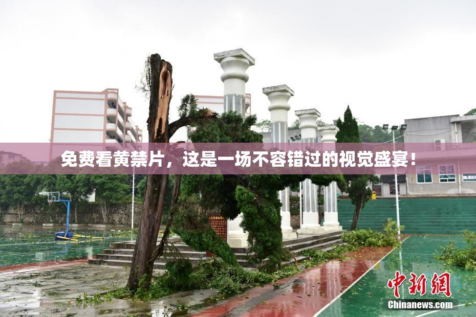 免费看黄禁片，这是一场不容错过的视觉盛宴！