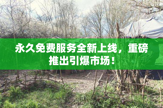 永久免费服务全新上线，重磅推出引爆市场！