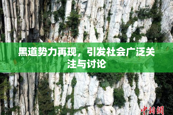 黑道势力再现，引发社会广泛关注与讨论