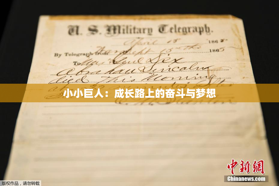 小小巨人：成长路上的奋斗与梦想