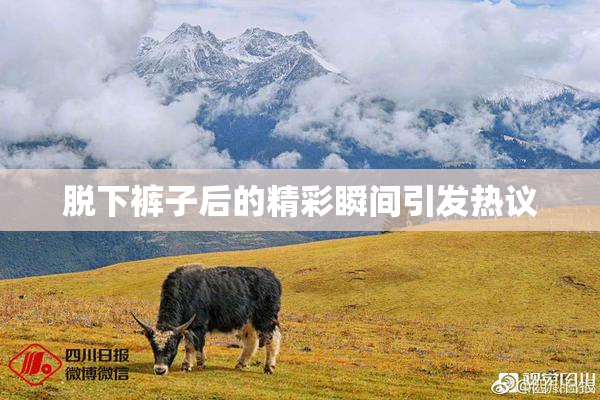 脱下裤子后的精彩瞬间引发热议