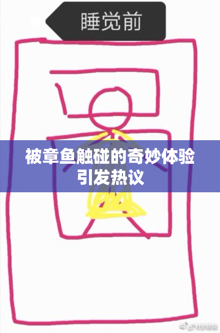 被章鱼触碰的奇妙体验引发热议