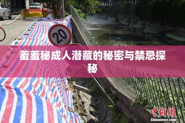 羞羞秘成人潜藏的秘密与禁忌探秘