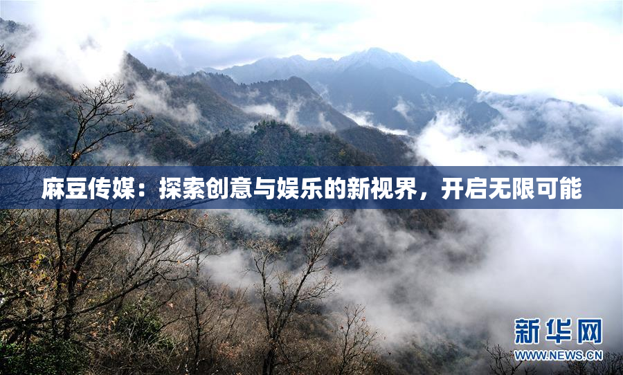 麻豆传媒：探索创意与娱乐的新视界，开启无限可能