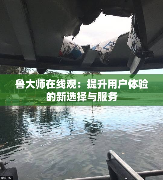 鲁大师在线观：提升用户体验的新选择与服务