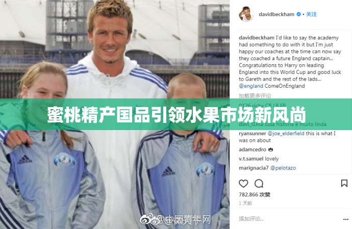 蜜桃精产国品引领水果市场新风尚