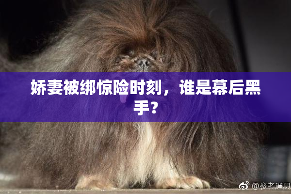 娇妻被绑惊险时刻，谁是幕后黑手？