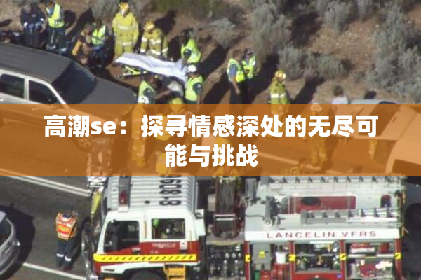 高潮se：探寻情感深处的无尽可能与挑战