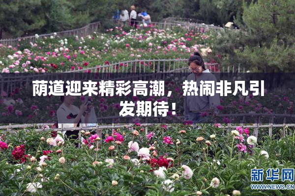 荫道迎来精彩高潮，热闹非凡引发期待！