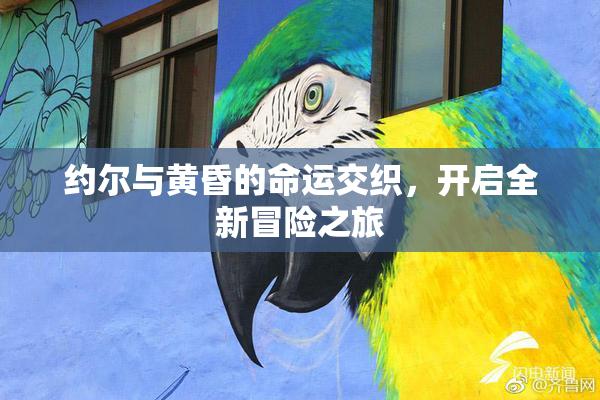 约尔与黄昏的命运交织，开启全新冒险之旅