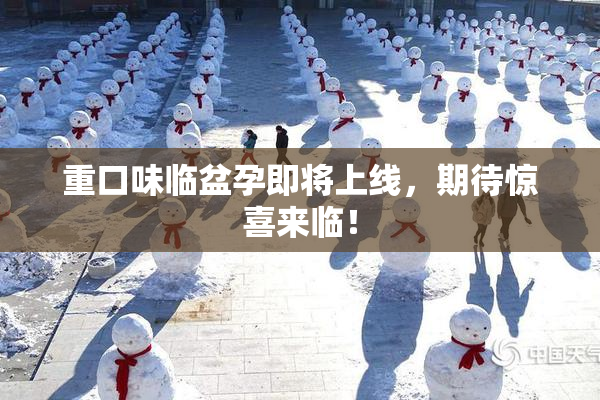 重口味临盆孕即将上线，期待惊喜来临！