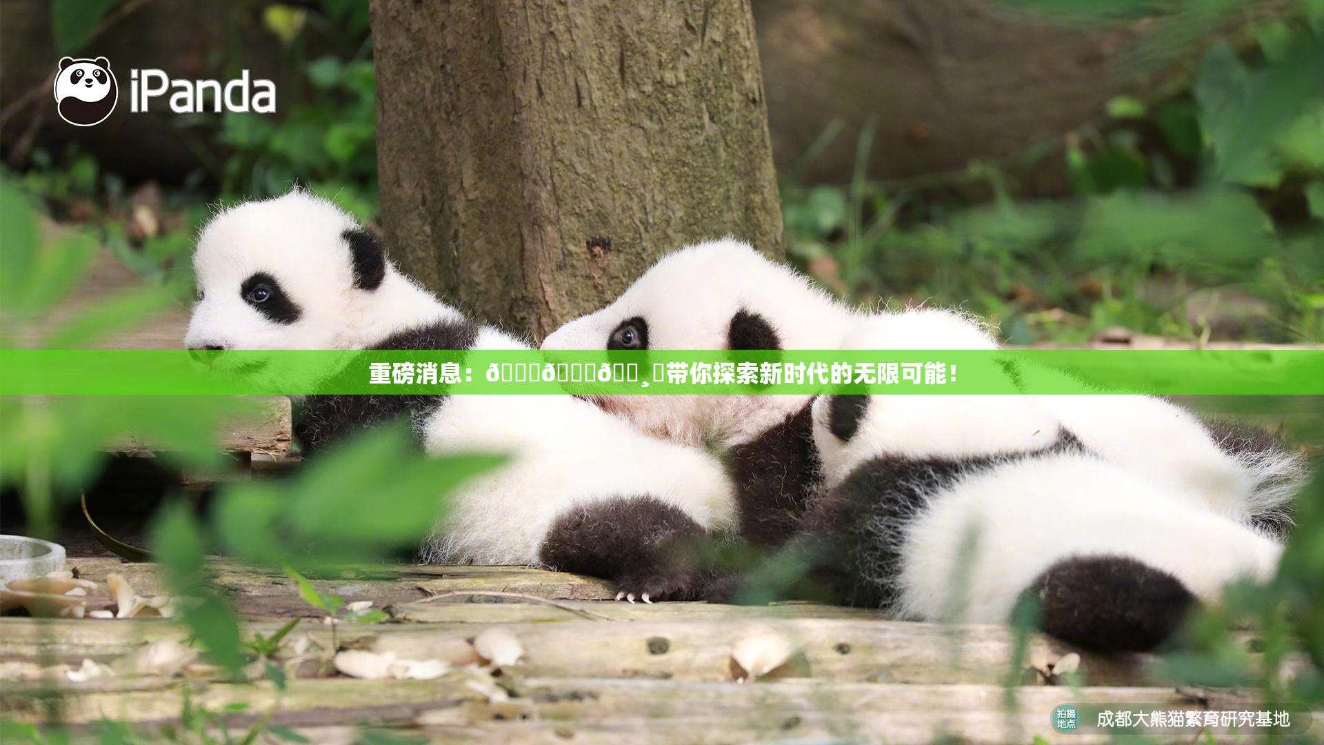 重磅消息：🍑👅🌸‌带你探索新时代的无限可能！