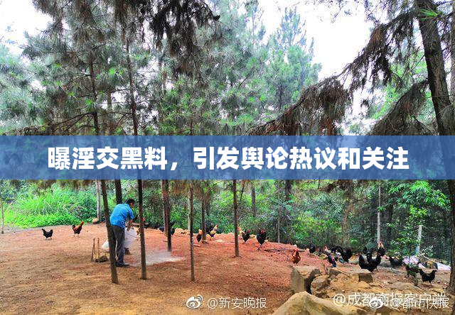 曝淫交黑料，引发舆论热议和关注
