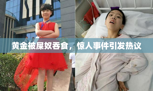 黄金被屎奴吞食，惊人事件引发热议
