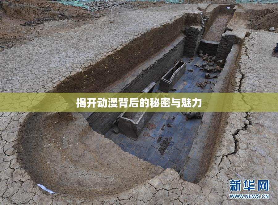 揭开动漫背后的秘密与魅力
