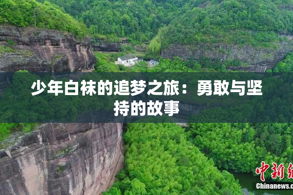 少年白袜的追梦之旅：勇敢与坚持的故事
