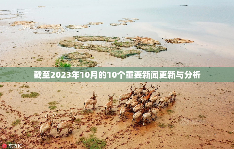 截至2023年10月的10个重要新闻更新与分析