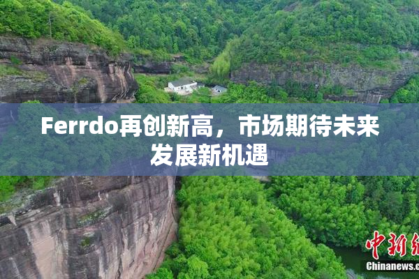 Ferrdo再创新高，市场期待未来发展新机遇