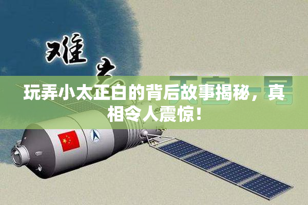 玩弄小太正白的背后故事揭秘，真相令人震惊！