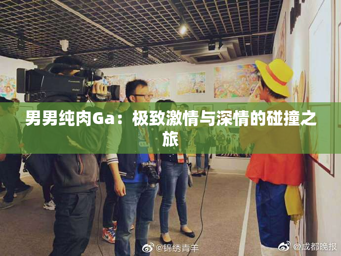 男男纯肉Ga：极致激情与深情的碰撞之旅