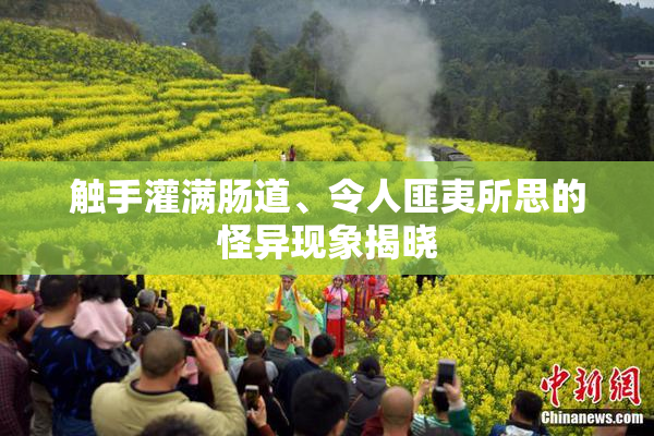 触手灌满肠道、令人匪夷所思的怪异现象揭晓