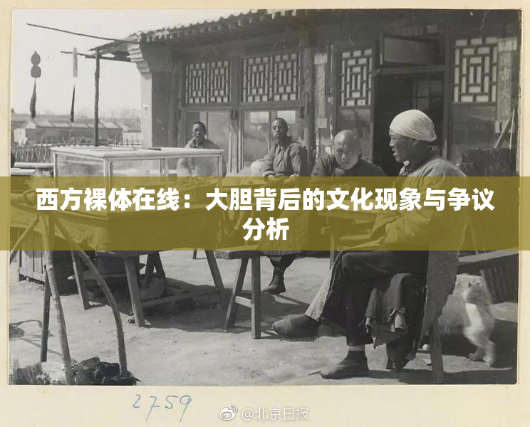 西方裸体在线：大胆背后的文化现象与争议分析