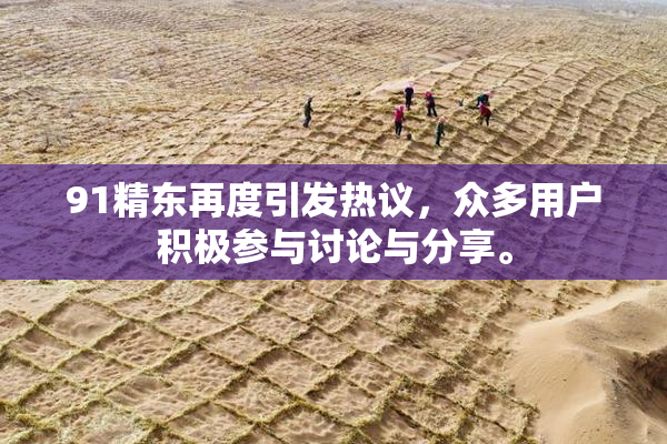 91精东再度引发热议，众多用户积极参与讨论与分享。