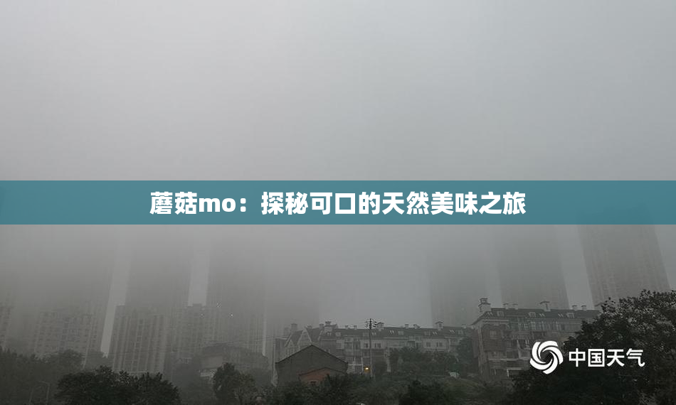蘑菇mo：探秘可口的天然美味之旅