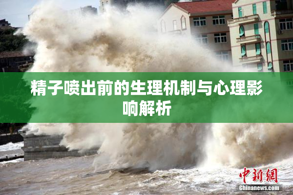 精子喷出前的生理机制与心理影响解析