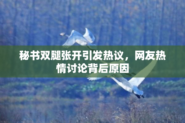 秘书双腿张开引发热议，网友热情讨论背后原因