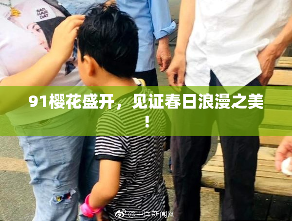 91樱花盛开，见证春日浪漫之美!