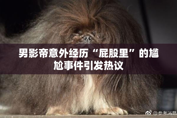 男影帝意外经历“屁股里”的尴尬事件引发热议