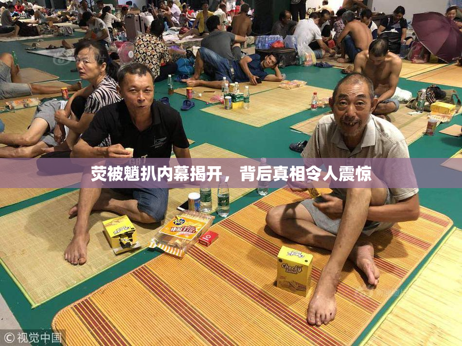 荧被魈扒内幕揭开，背后真相令人震惊