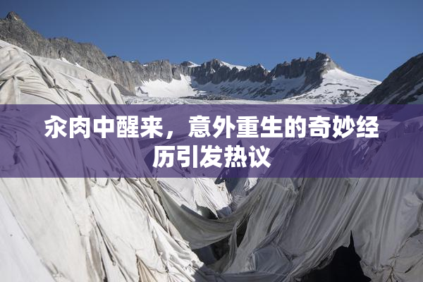 汆肉中醒来，意外重生的奇妙经历引发热议