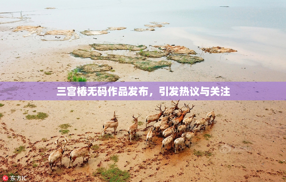 三宫椿无码作品发布，引发热议与关注