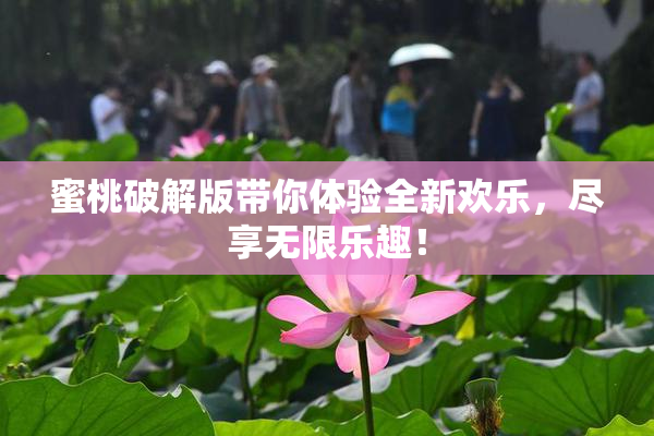 蜜桃破解版带你体验全新欢乐，尽享无限乐趣！