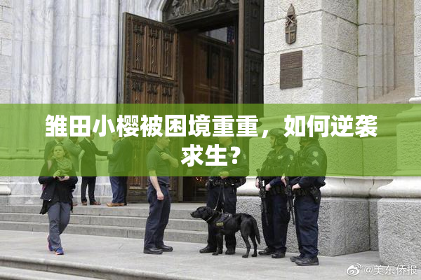 雏田小樱被困境重重，如何逆袭求生？