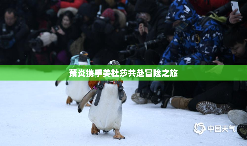 萧炎携手美杜莎共赴冒险之旅