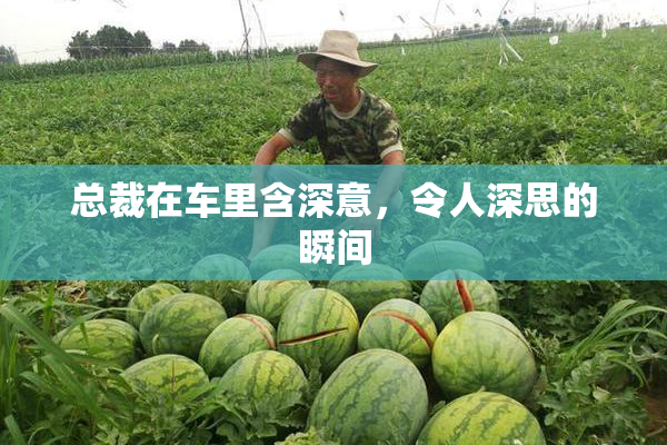 总裁在车里含深意，令人深思的瞬间