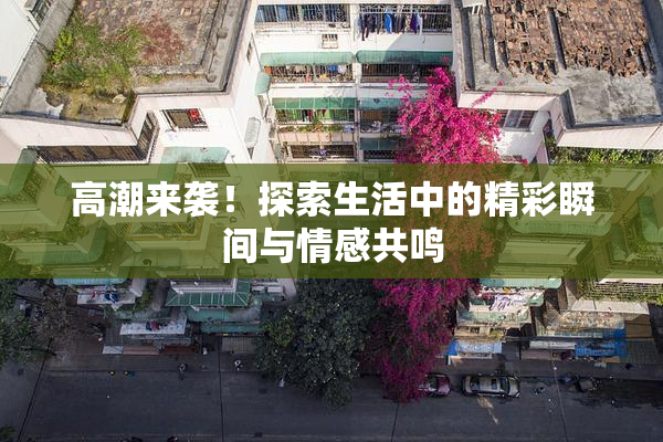高潮来袭！探索生活中的精彩瞬间与情感共鸣