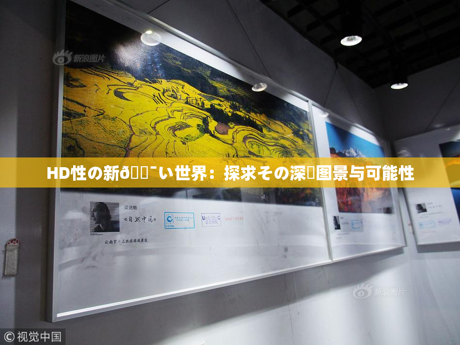 HD性の新🔯い世界：探求その深層图景与可能性