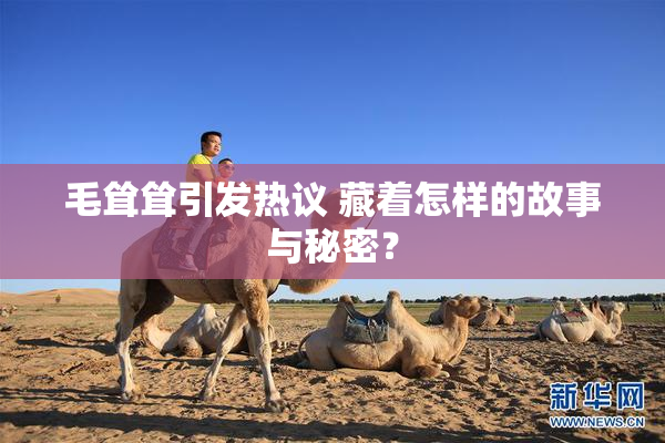 毛耸耸引发热议 藏着怎样的故事与秘密？