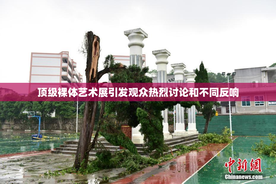 顶级裸体艺术展引发观众热烈讨论和不同反响
