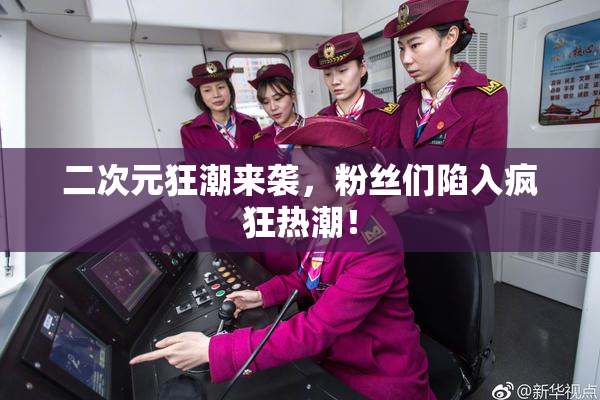 二次元狂潮来袭，粉丝们陷入疯狂热潮！