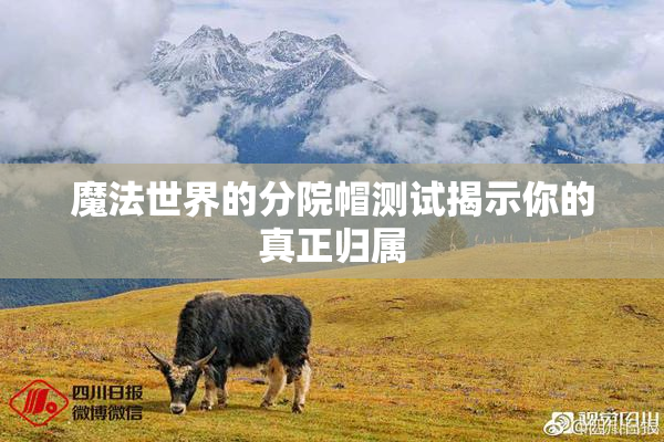魔法世界的分院帽测试揭示你的真正归属
