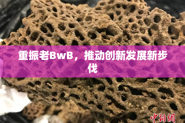 重振老BwB，推动创新发展新步伐