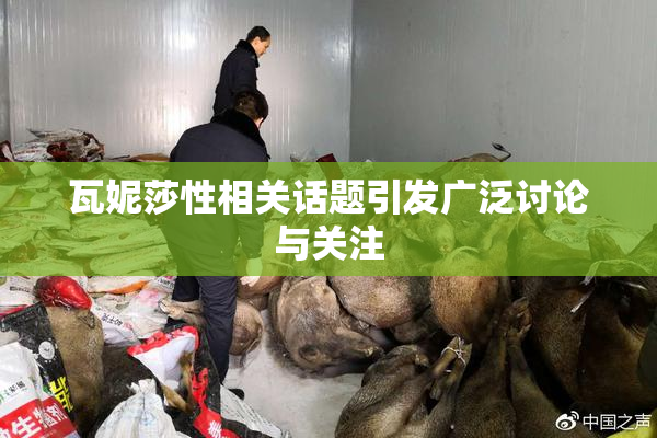 瓦妮莎性相关话题引发广泛讨论与关注